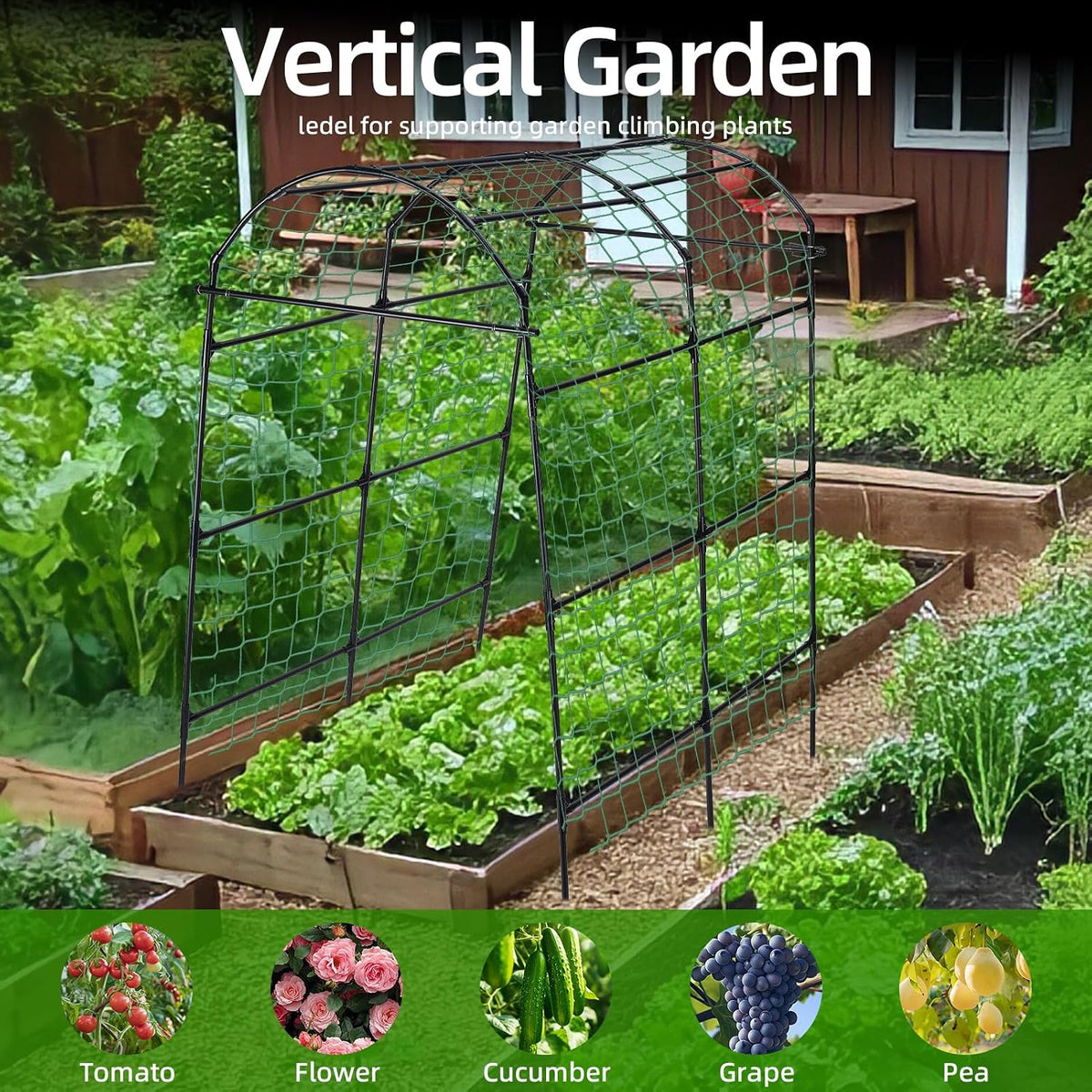 Cucumber Trellis for Raised Garden Bed, 71" H x 32" W A Frame