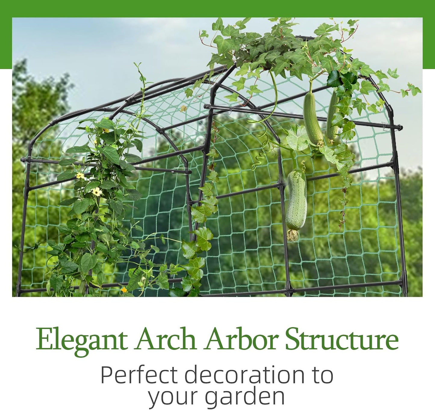 Cucumber Trellis for Raised Garden Bed, 71" H x 32" W A Frame