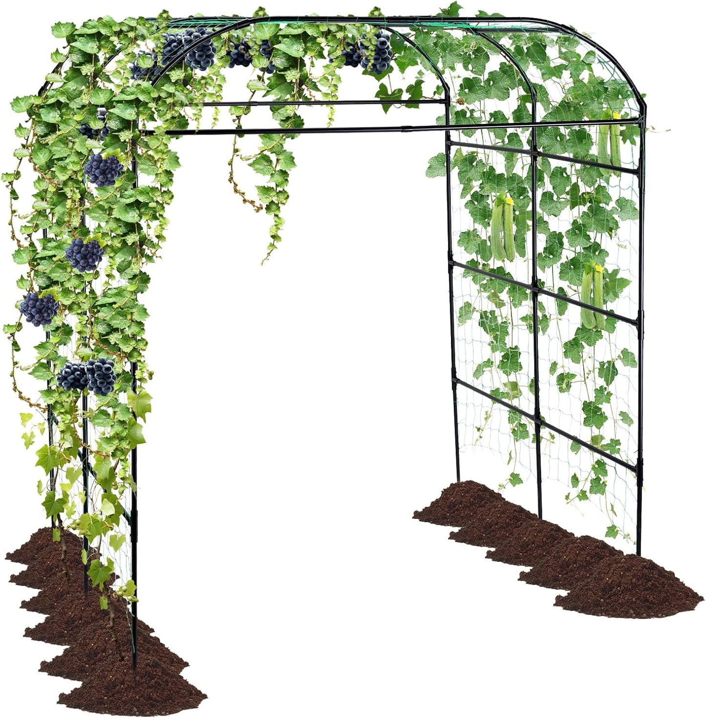 Cucumber Trellis for Raised Garden Bed, 71" H x 32" W A Frame