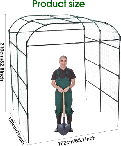 Cucumber Trellis for Raised Garden Bed, 71" H x 32" W A Frame