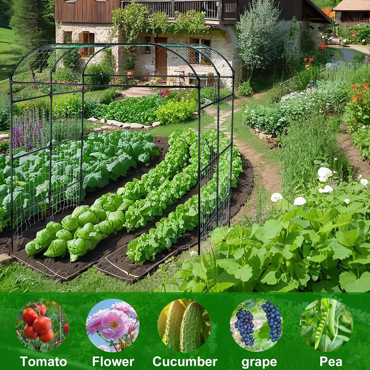 Cucumber Trellis for Raised Garden Bed, 71" H x 32" W A Frame