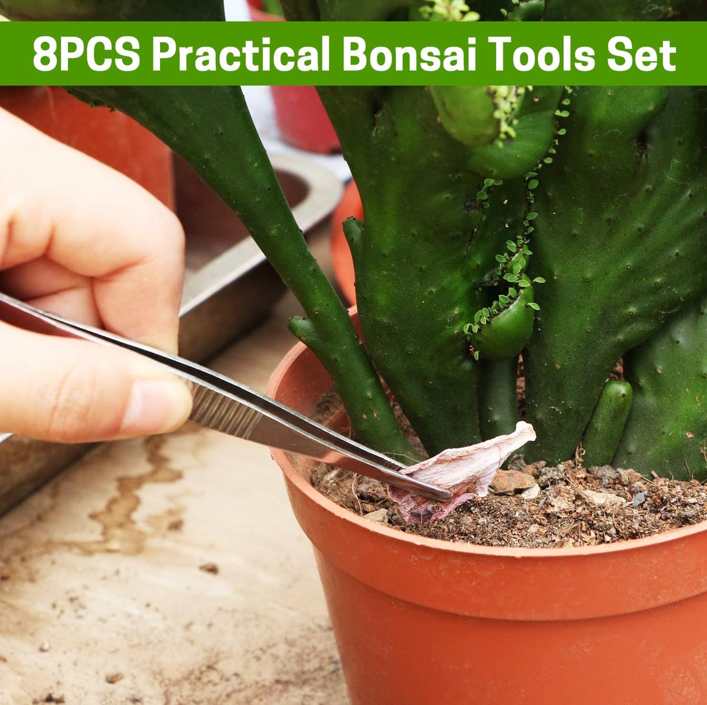 Bonsai Set 8 Pcs, Bonsai Tools Kit, Garden Tools Set