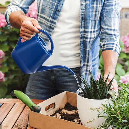 Watering Can, 1/2 Gallon Plastic Watering Cans with Comfortable Handle, Small Garden Watering Cans Long Spout for Indoor Outdoor Watering Plants, Blue