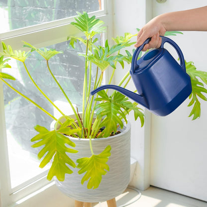 Watering Can, 1/2 Gallon Plastic Watering Cans with Comfortable Handle, Small Garden Watering Cans Long Spout for Indoor Outdoor Watering Plants, Blue