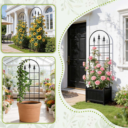 2 Pack 47" H x17 W Garden Trellis for Climbing Plants Outdoor - Metal Rustproof Arched Rose Trellis for Outdoor Indoor Roses Potted Vines Cucumbers Clematis Flowers Decorative, Black