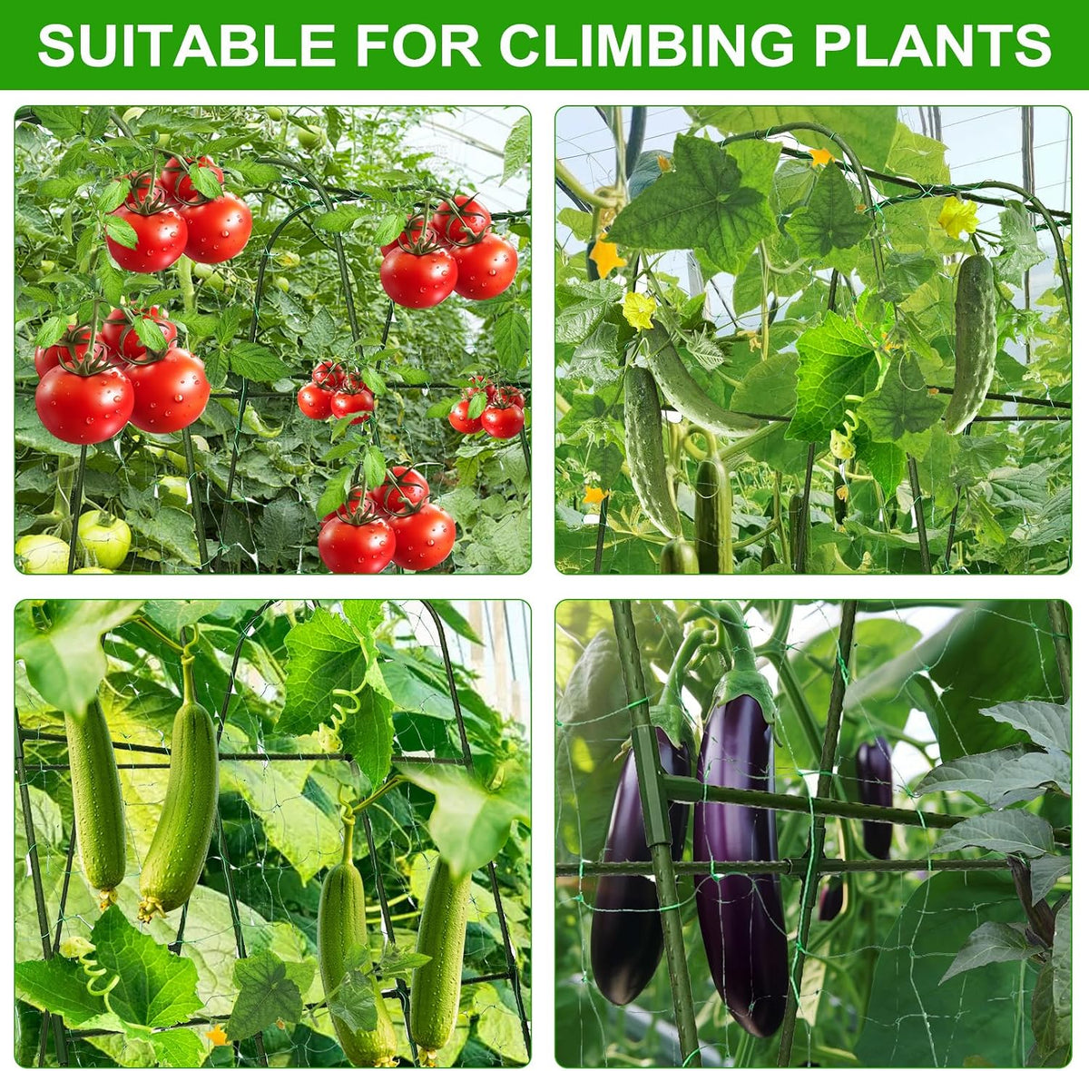 Metal Cucumber Trellis for Raised Beds & Gardens - 47.2" Lx30 W x47.2 H Sturdy Arch Trellis for Climbing Plants, Tomatoes, Peas & & Beans | Outdoor Vegetable Support for Vines