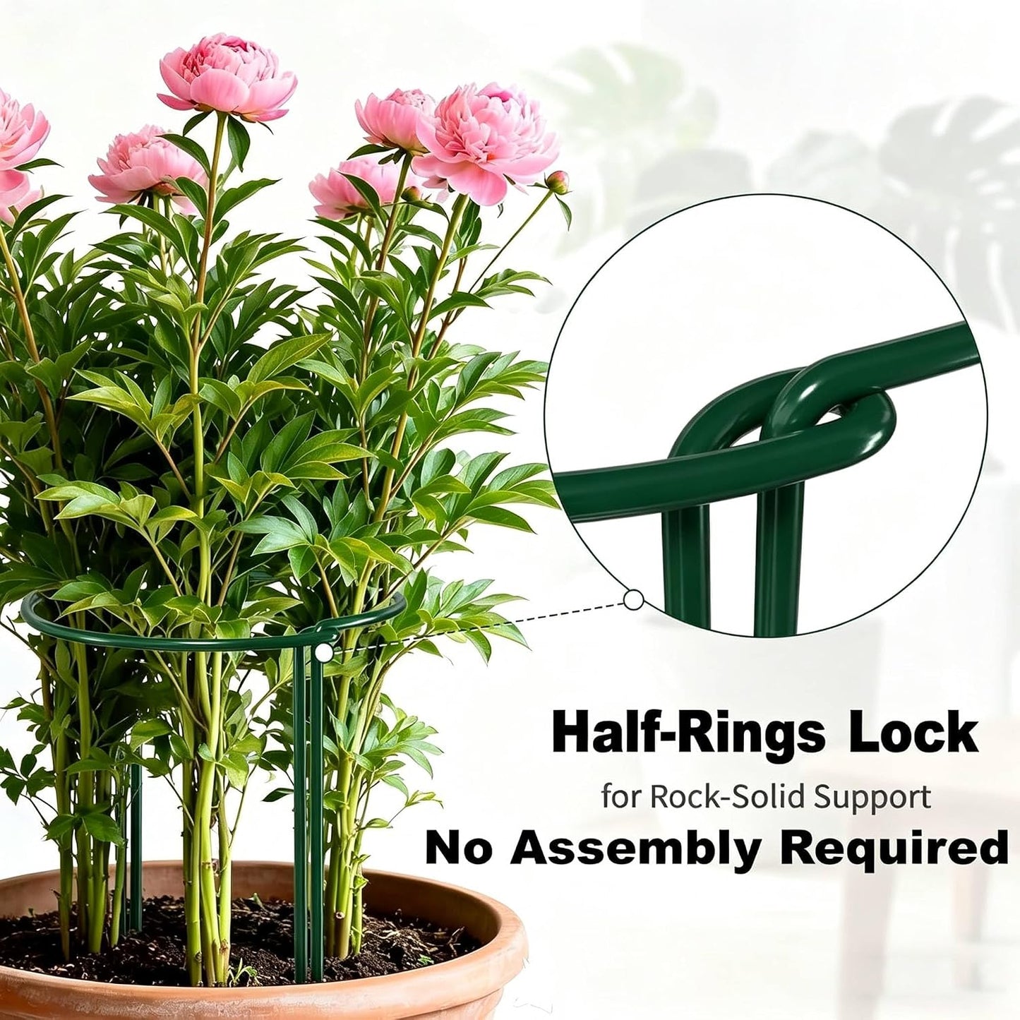 12 Pack Peony Cage Plant Support Stakes 10" W x 16" H Heavy Duty Ring Metal Garden Support Structures Plant Cage with Ties for Indoor Flower Outdoor Tomato Hydrangea Monstera