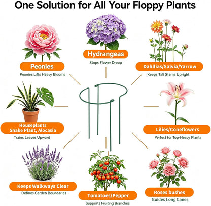 12 Pack Peony Cage Plant Support Stakes 10" W x 16" H Heavy Duty Ring Metal Garden Support Structures Plant Cage with Ties for Indoor Flower Outdoor Tomato Hydrangea Monstera