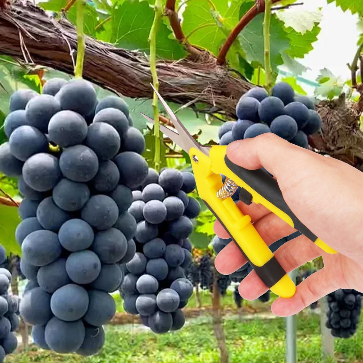 15 Pack 6.5 Inch Yellow Garden Pruning Scissors, Stainless Steel Blades Hand Pruner, Sharp Point Gardening Shears Cutter, A Must-have Gardening Pruning Shear, Supplies & Accessories