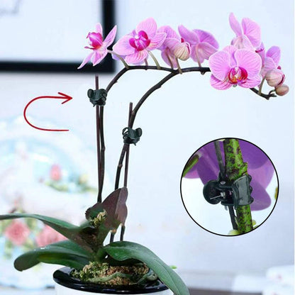 Plants Orchid Support Clips Plant Clips Orchid Clips Flower Vine Clips for Supporting Stems Vines Stalks Climbing Plant Grow Upright 30PCS Tiny Size