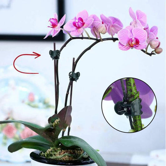 Plants Orchid Support Clips Plant Clips Orchid Clips Flower Vine Clips for Supporting Stems Vines Stalks Climbing Plant Grow Upright 30PCS Tiny Size