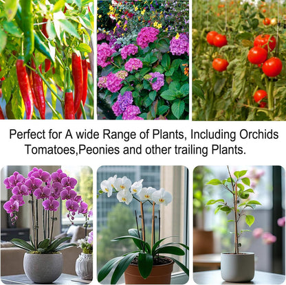 Plants Orchid Support Clips Plant Clips Orchid Clips Flower Vine Clips for Supporting Stems Vines Stalks Climbing Plant Grow Upright 30PCS Tiny Size