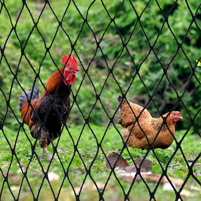 Bird Netting 50' x 50', 2.4" Square Mesh Garden Netting, Poultry Net