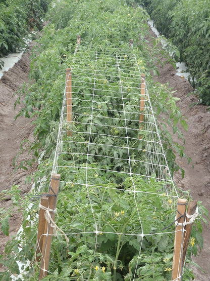 Hortonova Plant 79in x 328' Net