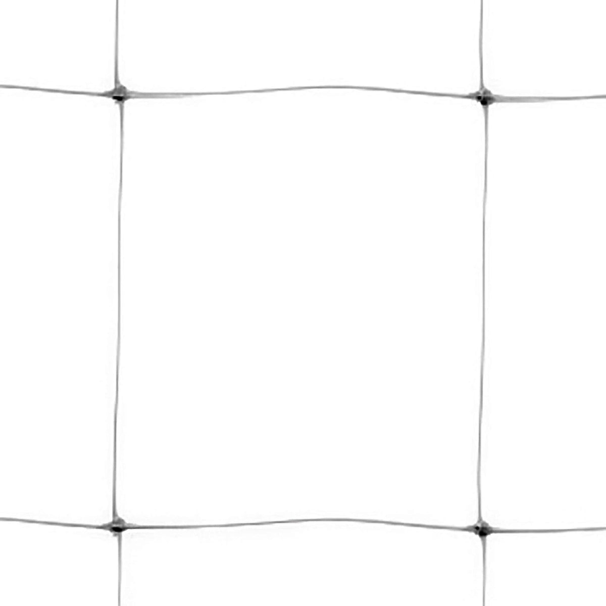Hortonova Plant 79in x 328' Net