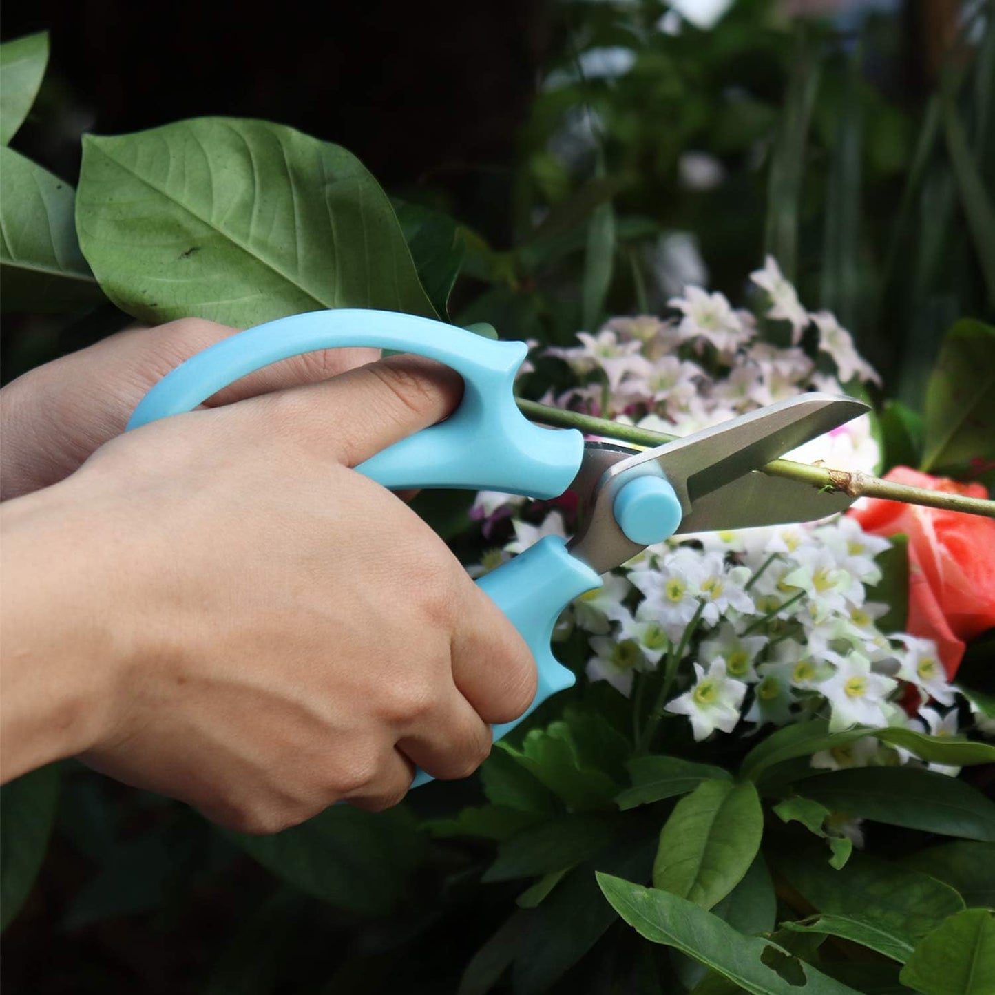 Garden Pruning Shears Scissors with Comfort Grip Handle, Premium Steel Professional Floral Scissors, Perfect for Arranging Flowers, Pruning, Trimming Plants, Gardening Tool (Purple)