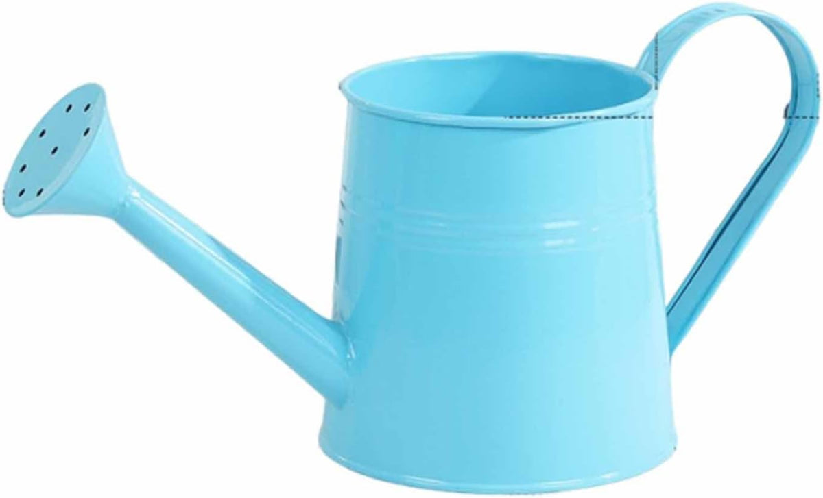 Watering Can Indoor, 1L Garden Watering Can Metal for Flowers, Tinplate Watering Kettle with Long Spout & Ergonomic Handle for Indoor Outdoor Garden Balcony Patio Irrigation (Blue)