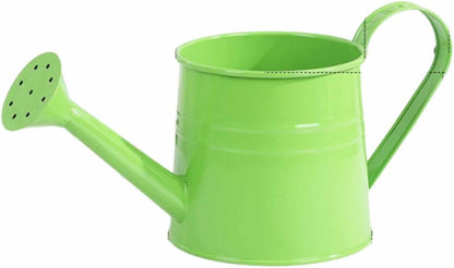 Watering Can Indoor, 1L Garden Watering Can Metal for Flowers, Tinplate Watering Kettle with Long Spout & Ergonomic Handle for Indoor Outdoor Garden Balcony Patio Irrigation (Blue)