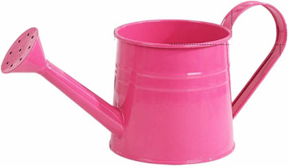 Watering Can Indoor, 1L Garden Watering Can Metal for Flowers, Tinplate Watering Kettle with Long Spout & Ergonomic Handle for Indoor Outdoor Garden Balcony Patio Irrigation (Blue)