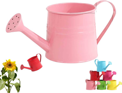 Watering Can Indoor, 1L Garden Watering Can Metal for Flowers, Tinplate Watering Kettle with Long Spout & Ergonomic Handle for Indoor Outdoor Garden Balcony Patio Irrigation (Blue)