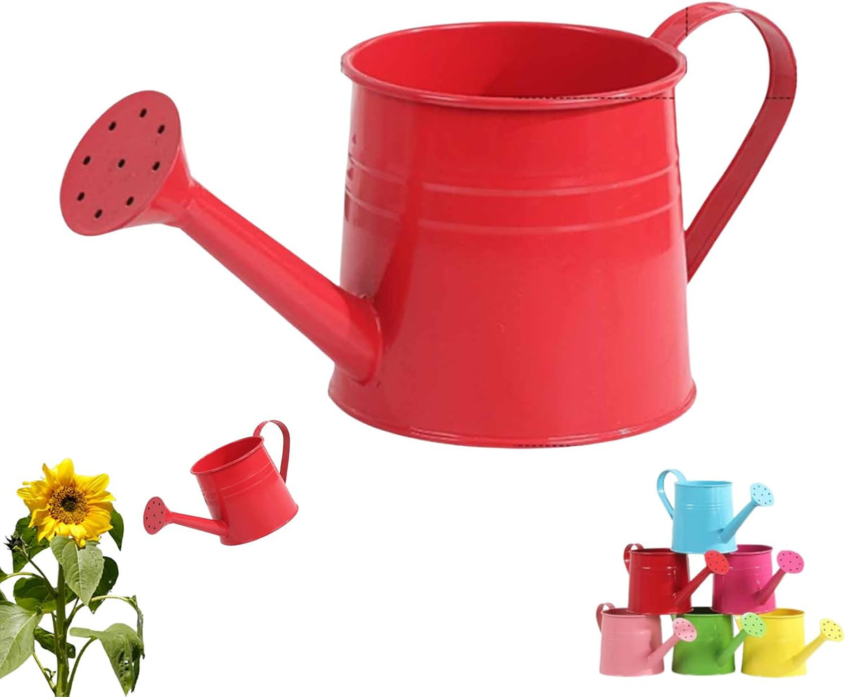 Watering Can Indoor, 1L Garden Watering Can Metal for Flowers, Tinplate Watering Kettle with Long Spout & Ergonomic Handle for Indoor Outdoor Garden Balcony Patio Irrigation (Blue)