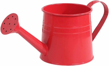 Watering Can Indoor, 1L Garden Watering Can Metal for Flowers, Tinplate Watering Kettle with Long Spout & Ergonomic Handle for Indoor Outdoor Garden Balcony Patio Irrigation (Blue)