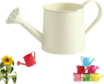 Watering Can Indoor, 1L Garden Watering Can Metal for Flowers, Tinplate Watering Kettle with Long Spout & Ergonomic Handle for Indoor Outdoor Garden Balcony Patio Irrigation (Blue)