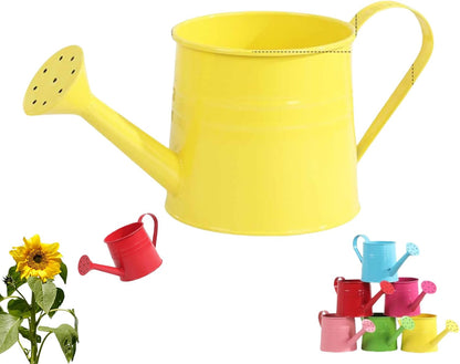 Watering Can Indoor, 1L Garden Watering Can Metal for Flowers, Tinplate Watering Kettle with Long Spout & Ergonomic Handle for Indoor Outdoor Garden Balcony Patio Irrigation (Blue)