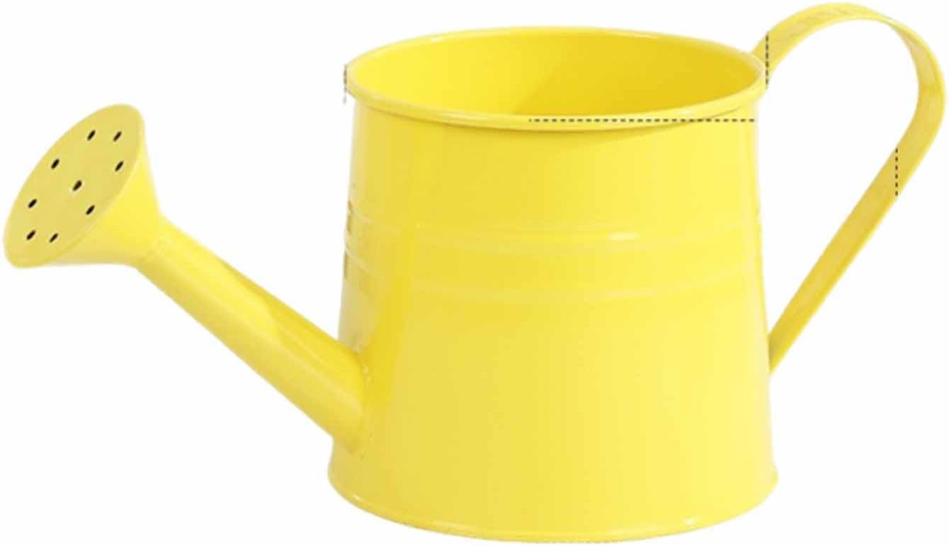 Watering Can Indoor, 1L Garden Watering Can Metal for Flowers, Tinplate Watering Kettle with Long Spout & Ergonomic Handle for Indoor Outdoor Garden Balcony Patio Irrigation (Blue)