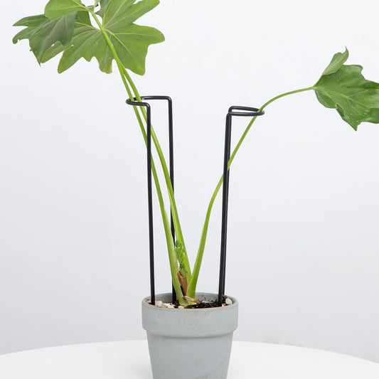 10Pcs Monstera Plant Support - 12" Durable Iron U-Shaped Trellis Stakes