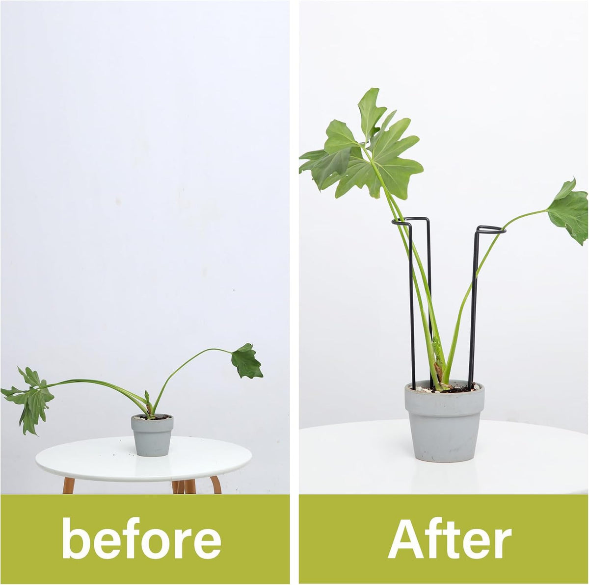 10Pcs Monstera Plant Support - 12" Durable Iron U-Shaped Trellis Stakes