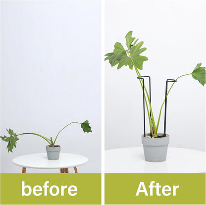 10Pcs Monstera Plant Support - 12" Durable Iron U-Shaped Trellis Stakes