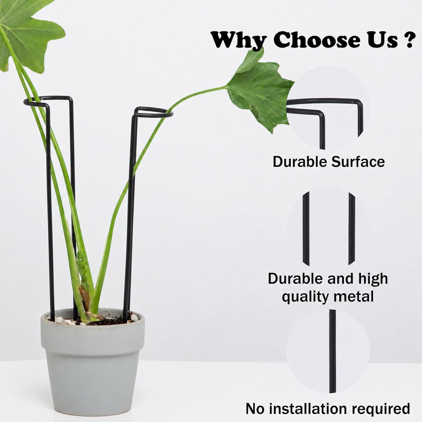 10Pcs Monstera Plant Support - 12" Durable Iron U-Shaped Trellis Stakes