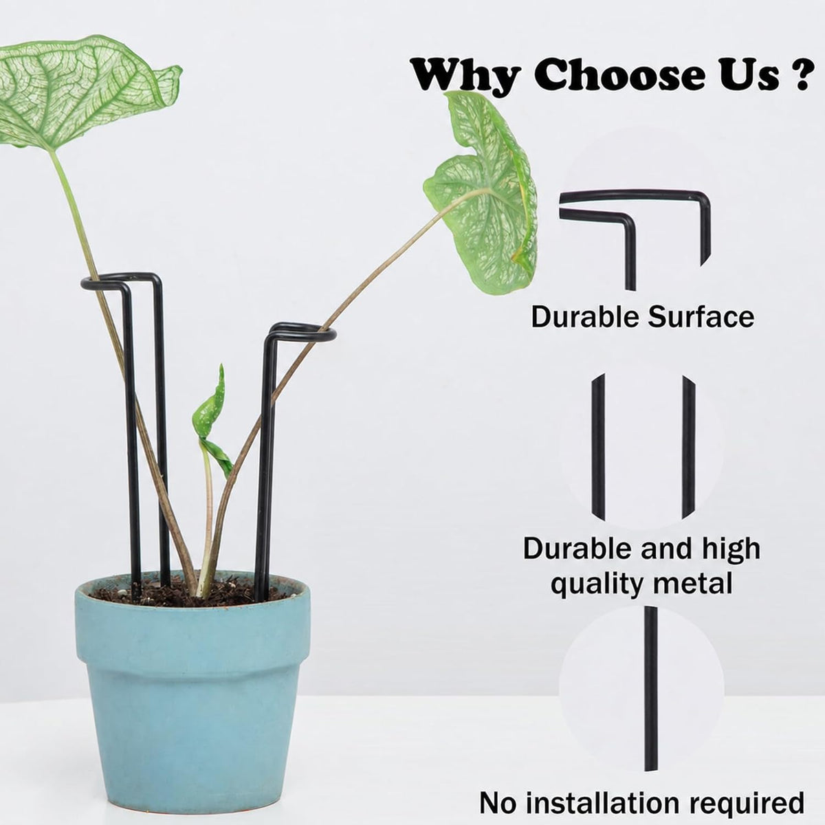 10Pcs Monstera Plant Support - 12" Durable Iron U-Shaped Trellis Stakes