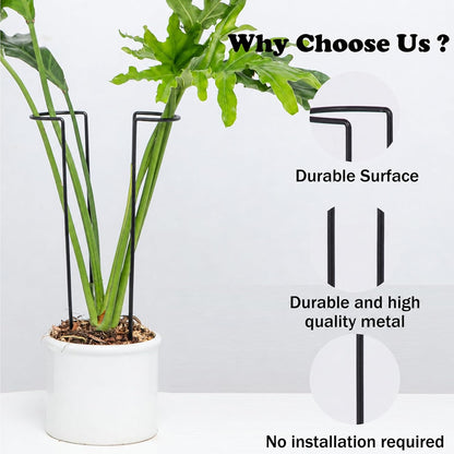 10Pcs Monstera Plant Support - 12" Durable Iron U-Shaped Trellis Stakes