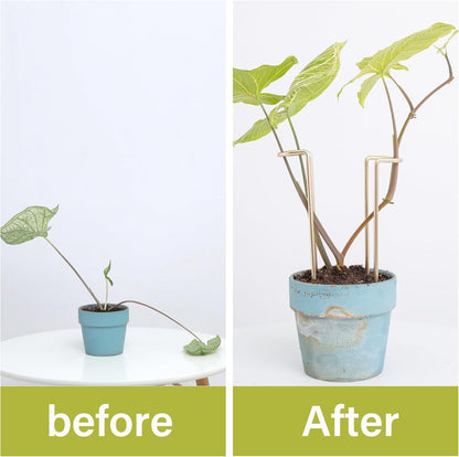 10Pcs Monstera Plant Support - 12" Durable Iron U-Shaped Trellis Stakes