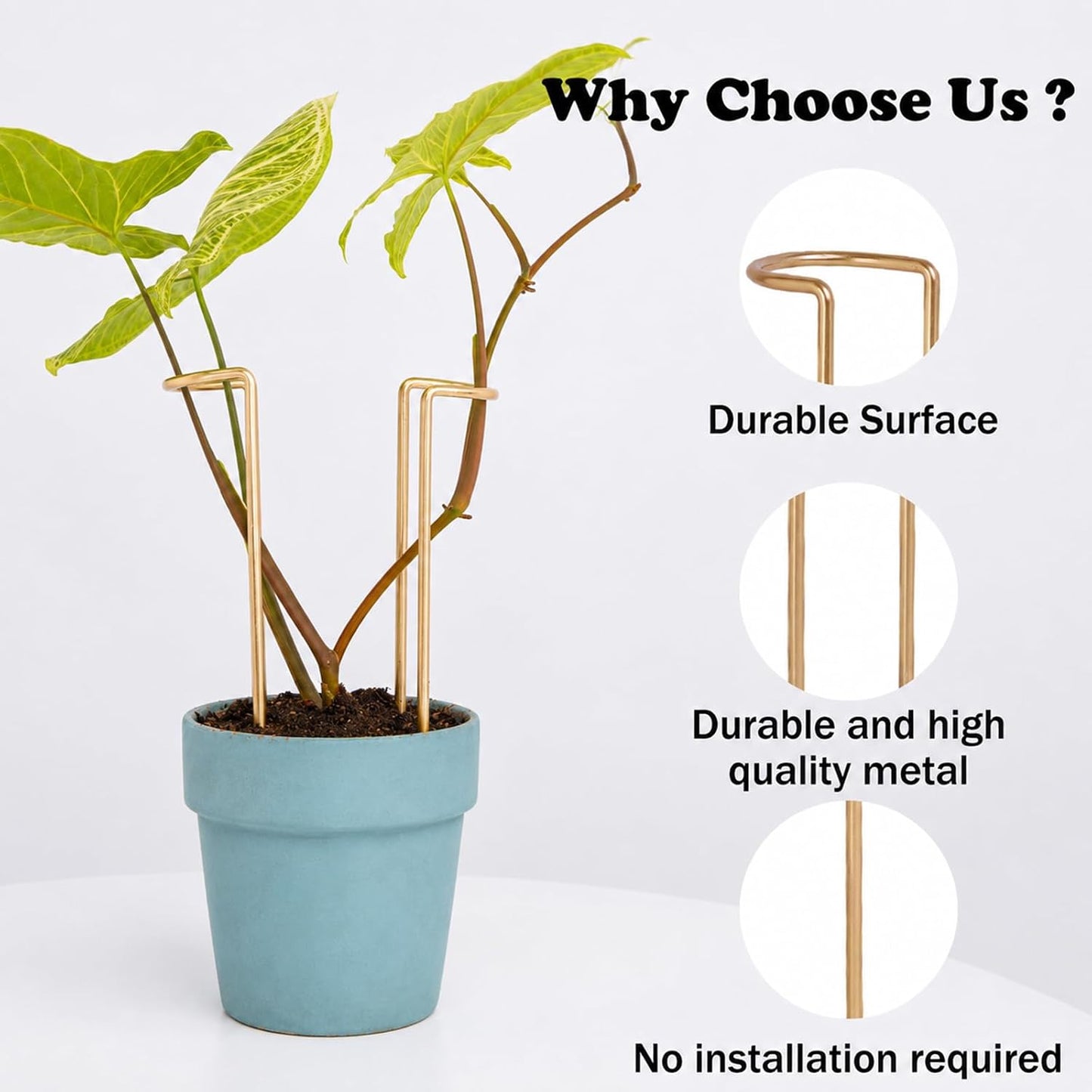 10Pcs Monstera Plant Support - 12" Durable Iron U-Shaped Trellis Stakes