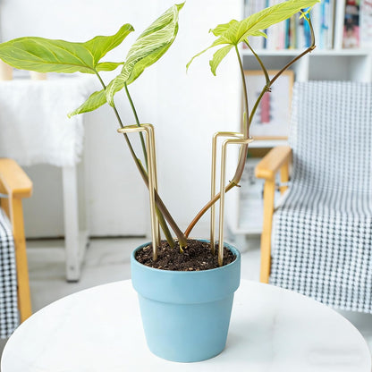 10Pcs Monstera Plant Support - 12" Durable Iron U-Shaped Trellis Stakes