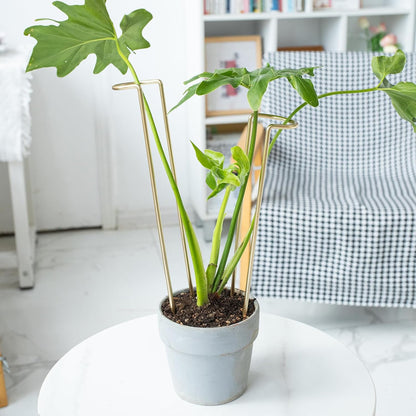 10Pcs Monstera Plant Support - 12" Durable Iron U-Shaped Trellis Stakes