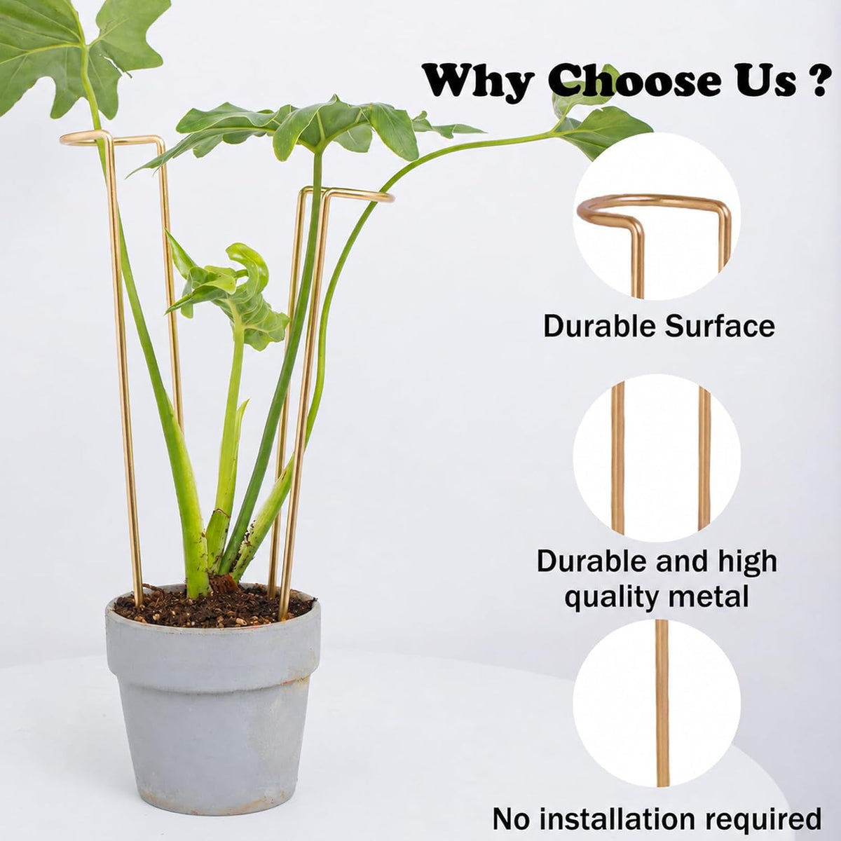 10Pcs Monstera Plant Support - 12" Durable Iron U-Shaped Trellis Stakes