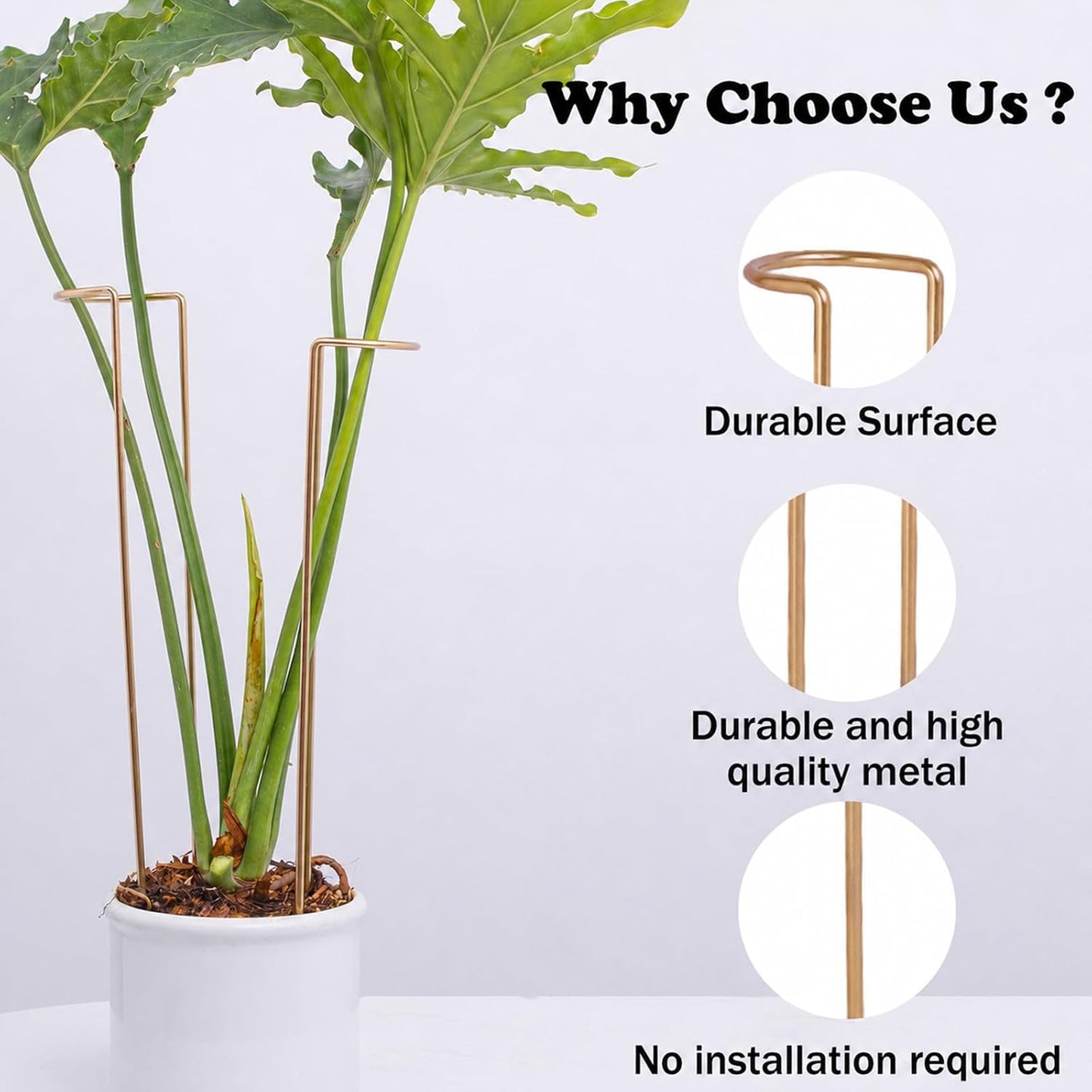 10Pcs Monstera Plant Support - 12" Durable Iron U-Shaped Trellis Stakes