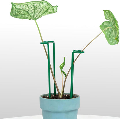 10Pcs Monstera Plant Support - 12" Durable Iron U-Shaped Trellis Stakes
