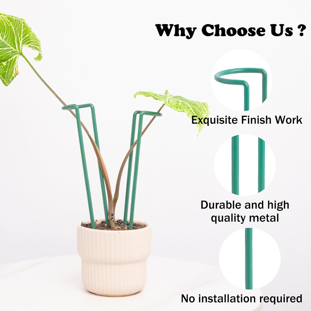 10Pcs Monstera Plant Support - 12" Durable Iron U-Shaped Trellis Stakes