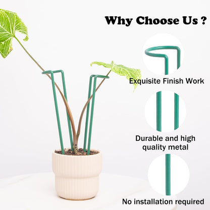 10Pcs Monstera Plant Support - 12" Durable Iron U-Shaped Trellis Stakes