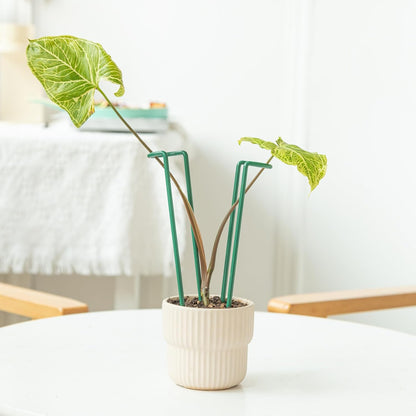 10Pcs Monstera Plant Support - 12" Durable Iron U-Shaped Trellis Stakes