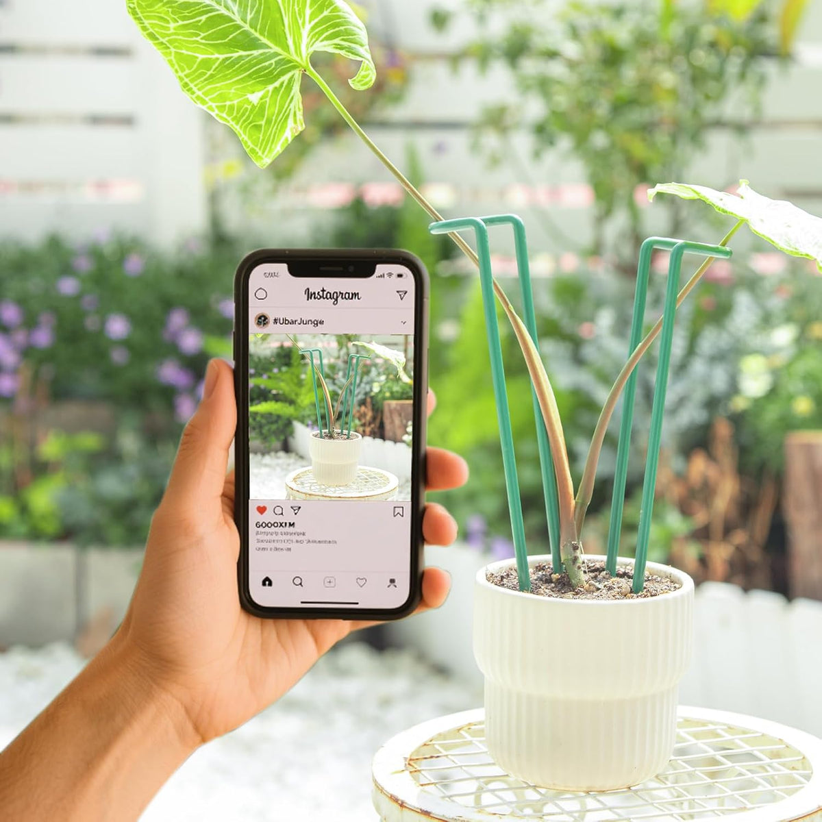10Pcs Monstera Plant Support - 12" Durable Iron U-Shaped Trellis Stakes