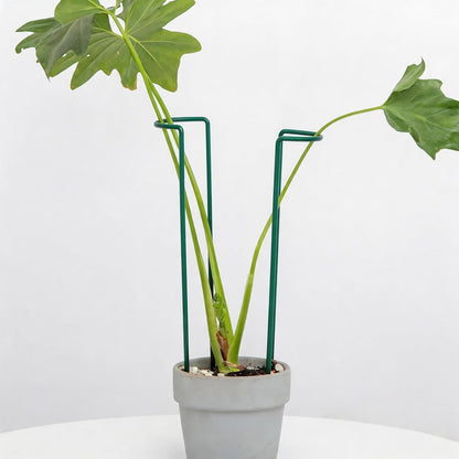 10Pcs Monstera Plant Support - 12" Durable Iron U-Shaped Trellis Stakes