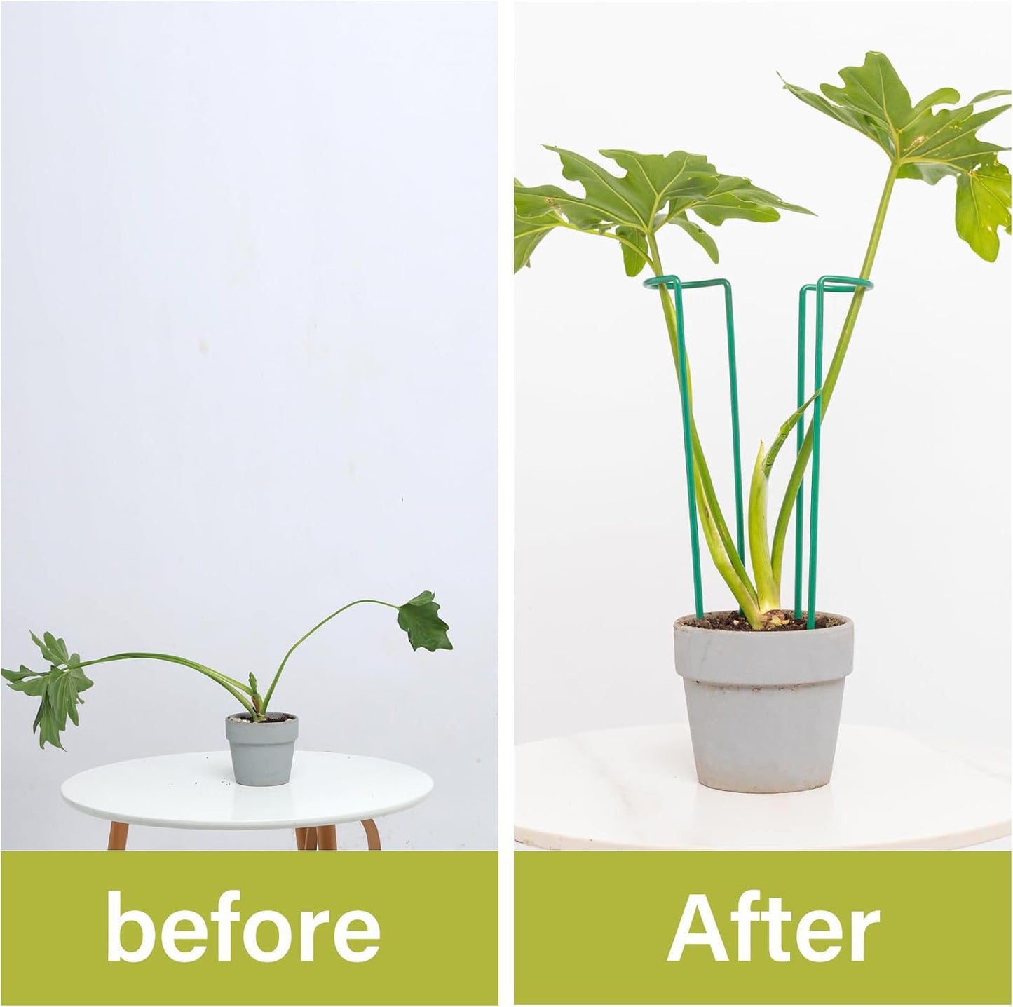 10Pcs Monstera Plant Support - 12" Durable Iron U-Shaped Trellis Stakes
