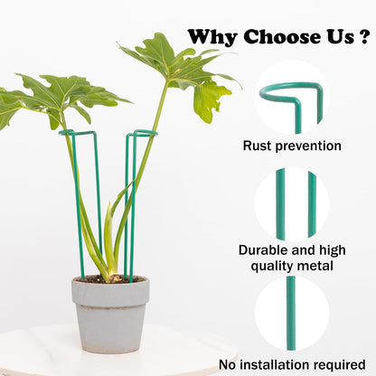 10Pcs Monstera Plant Support - 12" Durable Iron U-Shaped Trellis Stakes