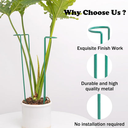 10Pcs Monstera Plant Support - 12" Durable Iron U-Shaped Trellis Stakes